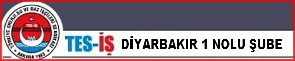 DİYARBAKIR 1