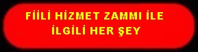 FİİLİ HİZMET ZAMMI İLE İLGİLİ HER ŞEY