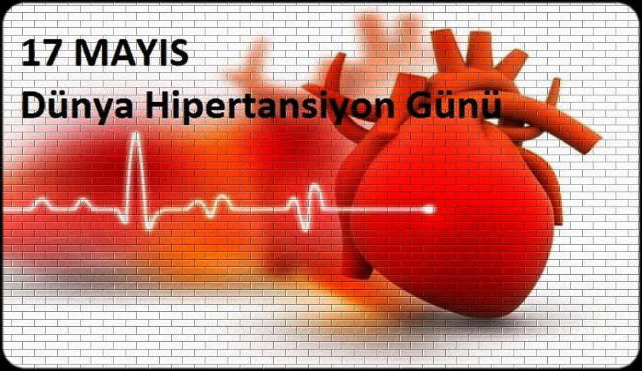 HİPER TANSİYON  GÜNÜ