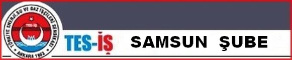 SAMSUN ŞUBE