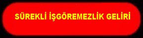 SÜREKLİ İŞ GÖREMEZLİK GELİRİ