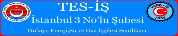 TES İŞ İSTANBUL 3 NOLU ŞUBE