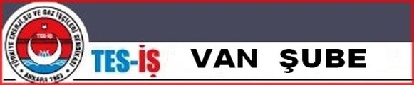 VAN ŞUBE