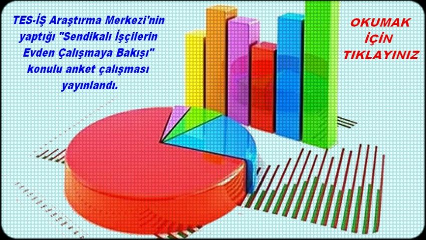TES İŞ ANKETİ YAYINLANDI