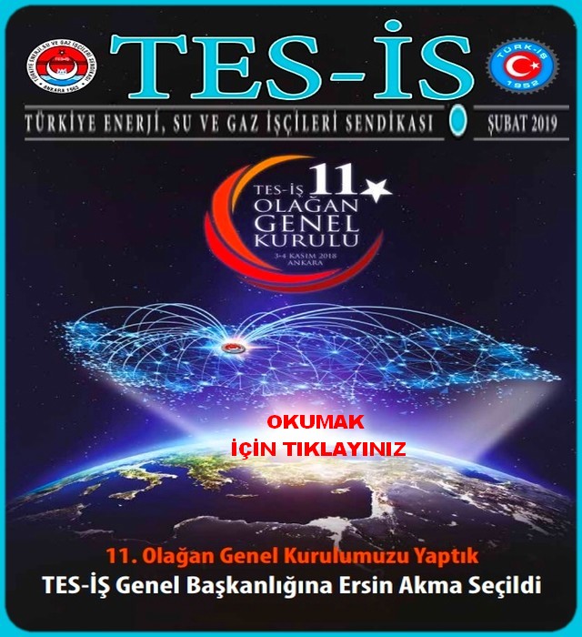 TES İŞ 2019 ŞUBAT AYI DERGİSİ