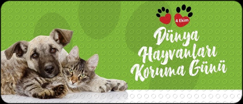 DÜNYA HAYVAN HAKLARI GÜNÜ