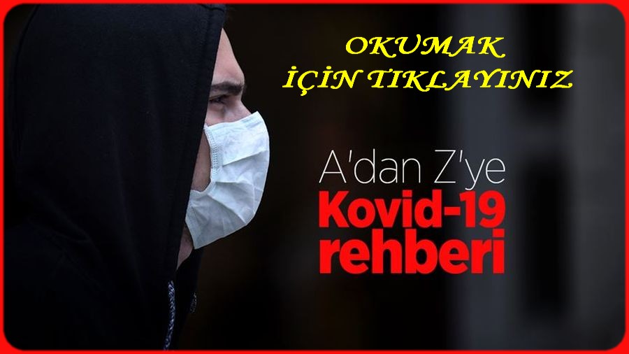 A DAN Z YE KORONA REHBERİ